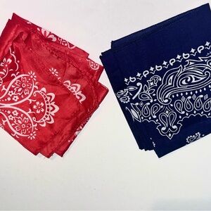 Red and Blue Paisley Bandanas